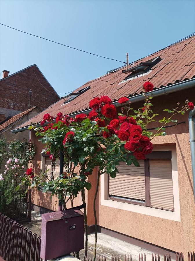 Annabelle Apartment Zagreb Exterior photo